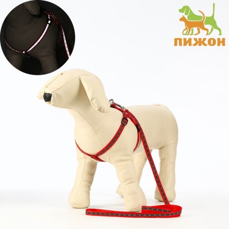 The reflective “bones” set, a collar of 120 x 1 cm, Osh 26-42 cm, fire 26-42 cm, red