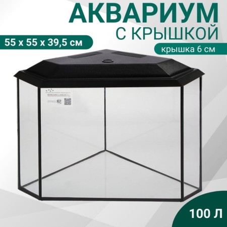 Aquarium "Delta" corner with a lid, 100 liters, 55 x 55 x 39.5/45.5 cm, black