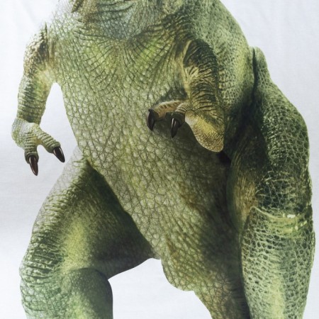 Bed linen "Ethel" 1.5 joint venture Green Dino 143x215 cm, 150x214 cm, 50x70 cm -1 pcs-4