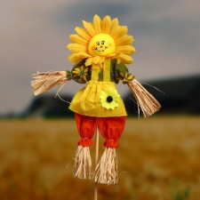 The garden scarecrow 
