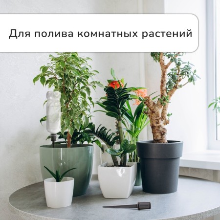 Auto -polyoves for indoor plants for a bottle, adjustable, gray, plastic, height 16 cm, 4 pcs.-1