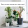 Auto -polyoves for indoor plants for a bottle, adjustable, gray, plastic, height 16 cm, 4 pcs.