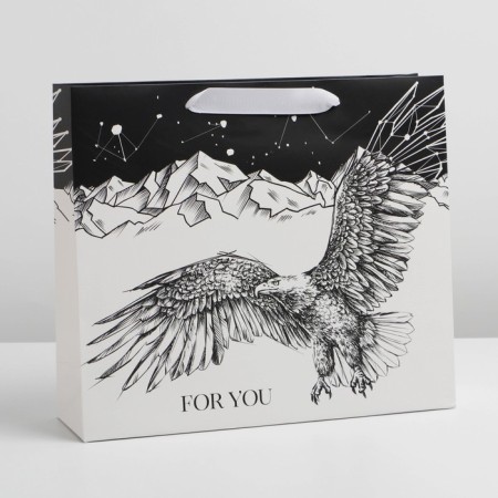 Package Gift Laminated Horizontal, Packaging, "Eagle", M 25.5 x 30 x 9 cm-1