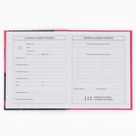 School Diary 1-4 class, in a solid cover, 48 liters "September 1: Anime Girl"-3