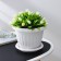 Pot for flowers with the Sylver Eco Podon, 2.6 l, d = 20 cm, white color