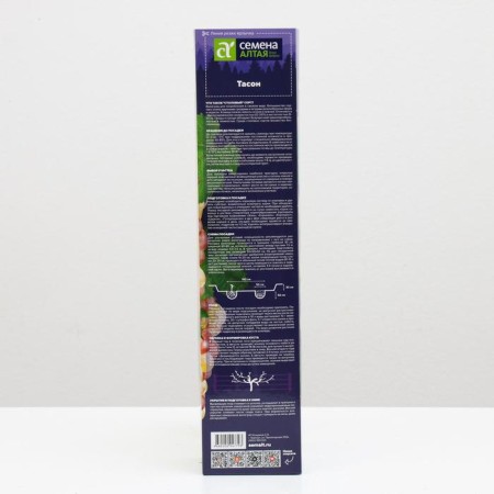 Grape seedling Tason Spring 2024, 1 pc.-1