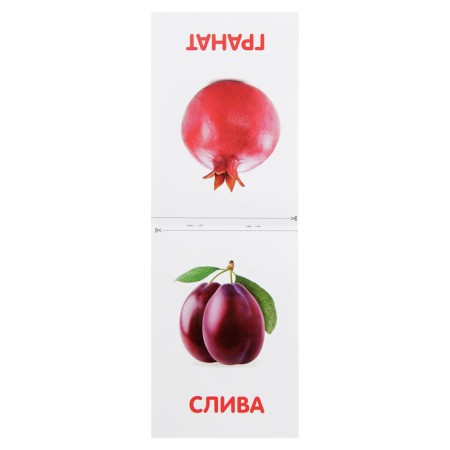 The training book according to the methodology of G. Doman "Fruits", 20 p.-1