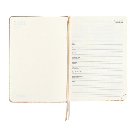 Dated diary 2025 A5 168 sheets, Devente.Barbara, a solid cover to leatherette with foam, praise, perforation, lies, block 70, beige, beige-8
