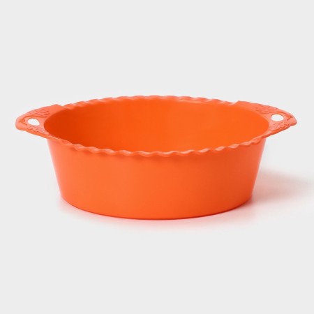 Plastic sieve, 25 × 22 × 7 cm, color mix-5