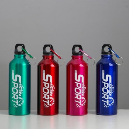 Water bottle, 650 ml, Master K, 21 x 7 cm, aluminum case, mix-1