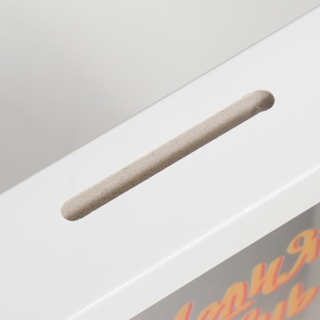 Interior plastic Pigger "Today is your day!" 17x12x3.8 cm-4