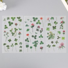 Stickers Plastic 