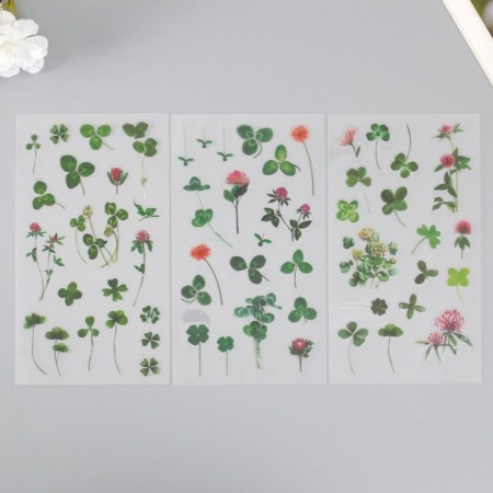 Stickers Plastic "Clover" set of 6 sheets 10x18 cm