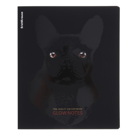Notebook of 48 sheets in the Erichkrause "Gaze" cage, Soft-Touch lamination, offset 100%, mix-5
