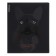 Notebook of 48 sheets in the Erichkrause "Gaze" cage, Soft-Touch lamination, offset 100%, mix