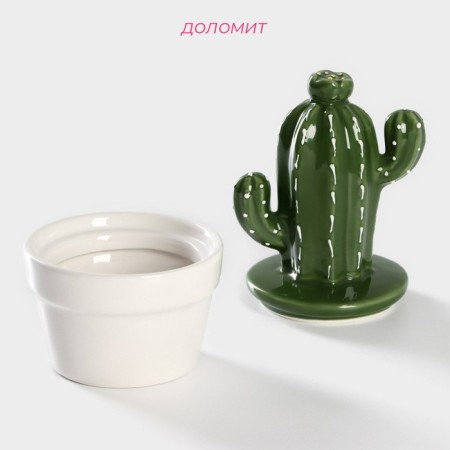 Ceramic Bank for spices of the Cactus, 160 ml, 8 × 8 × 14 cm-1