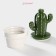 Ceramic Bank for spices of the Cactus, 160 ml, 8 × 8 × 14 cm