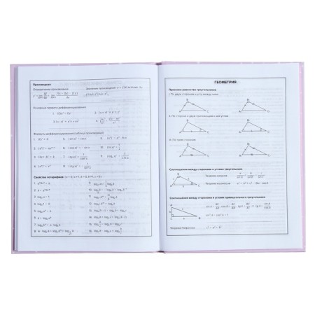Universal Diary Grade 1-11, 48 sheets "kitten and mouse", solid cover, pancake embossing, UV-lame, matte lamination-9