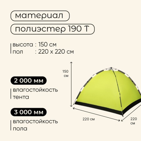 TART TALE, TRARKING MACLAY SWIFT 3, automatic, 3-seater-2