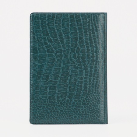 Cover for passport, green color-2