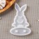 Silicone Mold "Hare Designer", 12 × 8 cm, the color is transparent
