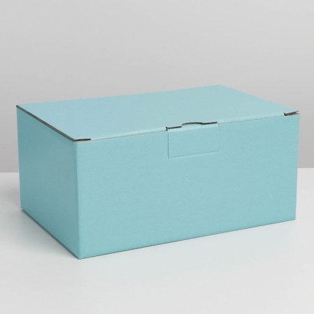 Gift folding box, packaging, Tiffany, 22 x 15 x 10 cm-3