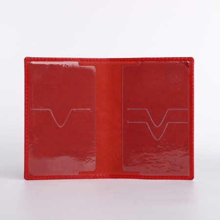 Cover for passport, red color-4