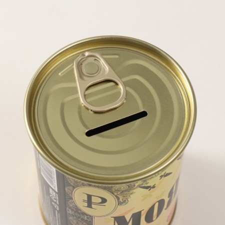 Pigging bank Metal "My Piggy Code"-4