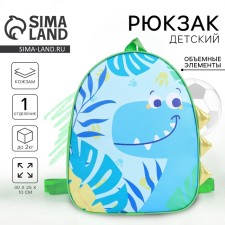 Baby backpack for the boy 