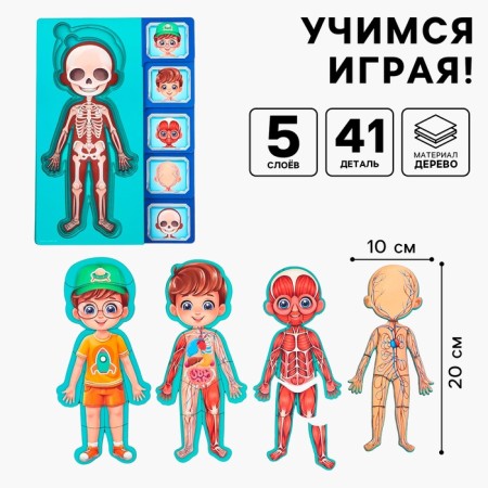 The training set "Human Body", a frame-laying frame and a book with stickers-1