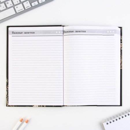 Set "Golden Teacher": A5 diary A5 160 sheets, planing 50 sheets and pen Plastic-10