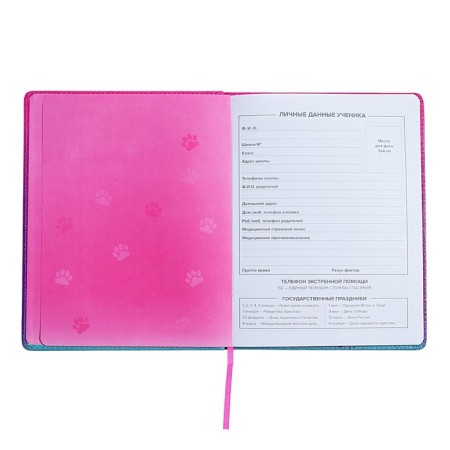 Universal Grade 1-11 Diary, 48 sheets "Chibi", solid cover of artificial leather, lies, universal cheat sheet, block 80 g/m2-3