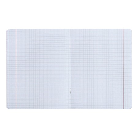 Notebook “Hints”, 48 sheets in a cage, “Biology”, coated cardboard, matte lamination, Touch varnish, Offset block-4