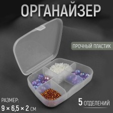 Organizer, 9 × 6.5 × 2 cm, 5 departments, the color is transparent