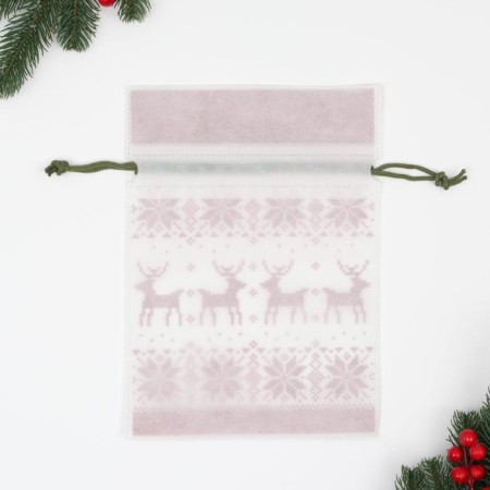 Gift bag "Scandinavia", 22x31 cm-2