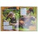 Animals of our planet. Koshevar D.V., Papunidi E.A.