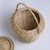 Vegetable Crimery Basket high with a lid, 300x300/250/370 mm