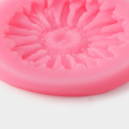Mold Dolyana "Herber", silicone, d = 6 cm, color mix-2