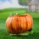 Figure pot "Pumpkin" 17x12cm