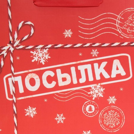 Laminated horizontal "Parcel", ML 27 x 23 x 11.5 cm, New Year-4