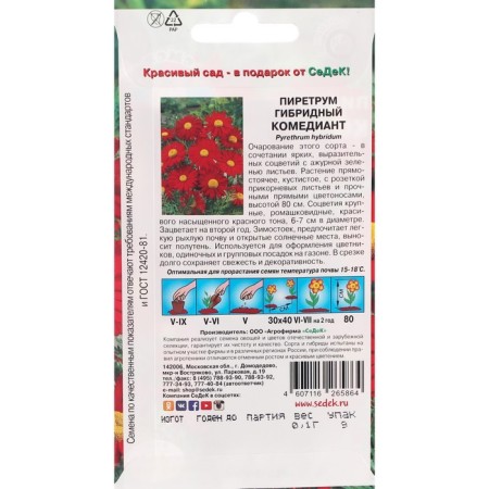 Flowers Pyrethrum "Comedian" 0.1 g-1