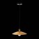 Suspension lamp ST LUCE. SL1017.203.01. Romo. 1x60 W, E27, 30x30 cm, black color