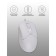 Mouse A4Tech FSTYLER FM12 white optical (1200DPI) USB (3but)