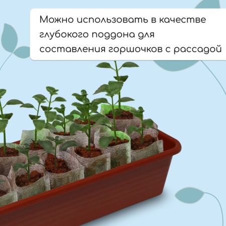 Box for seedlings, 48 ​​× 20 × 10 cm, 8 l, color mix-3