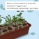 Box for seedlings, 48 ​​× 20 × 10 cm, 8 l, color mix