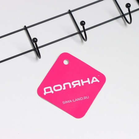 The hanger wall -mounted on 8 hooks "Light", 43 × 5 × 3 cm, black color-4