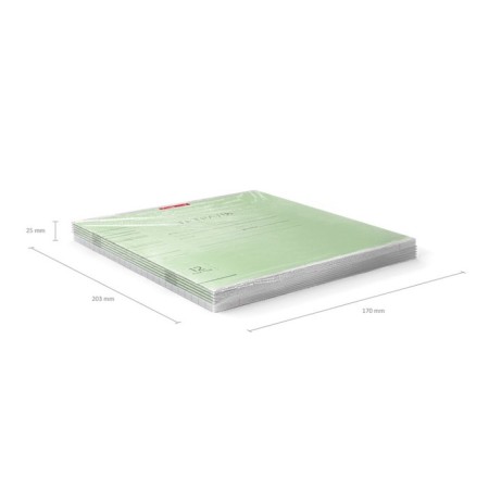 Notebook 12 sheets in a narrow ruler, Erichkrause Visio "Classic", cover coated a cardboard, an offset block, green-9