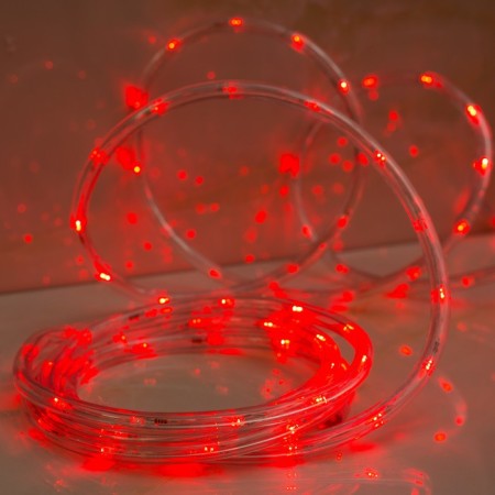 Luazon Lighting 10 mm light cord, IP65, 5 m, 24 LED/m, 220 V, 8 modes, red glow-1
