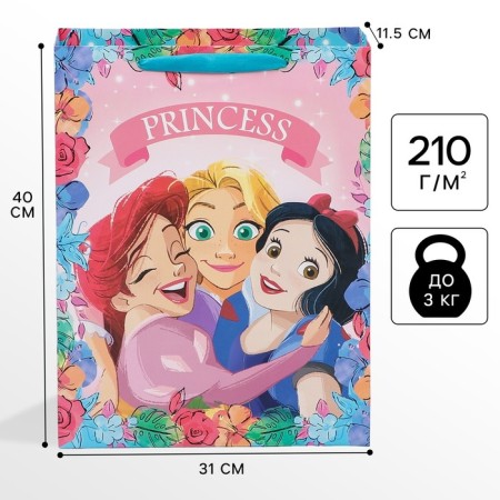 Gift package, 31x40x11.5 cm, packaging, princesses