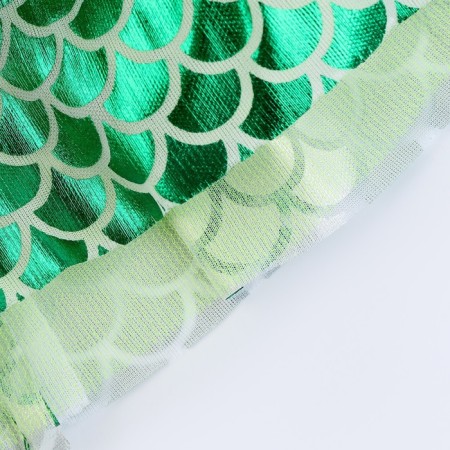 Carnival set "Winter Dragon", green color: wings, skirt and rim-9